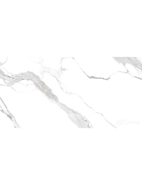 Carrara polaris